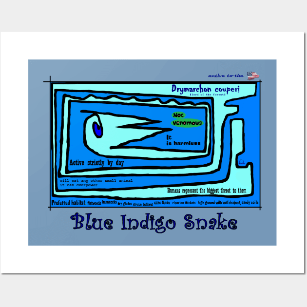 Blue Indigo Snake Wall Art by TenomonMalke